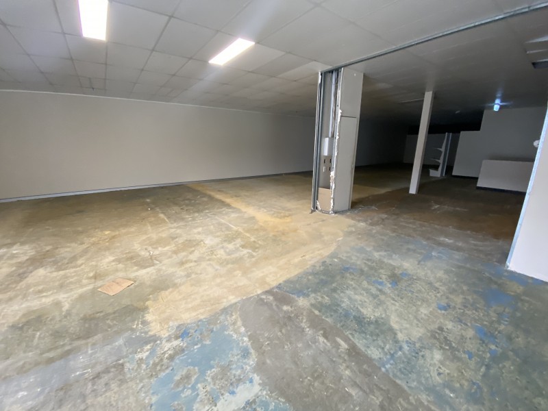 C/290 Parramatta Road, Auburn NSW 2144