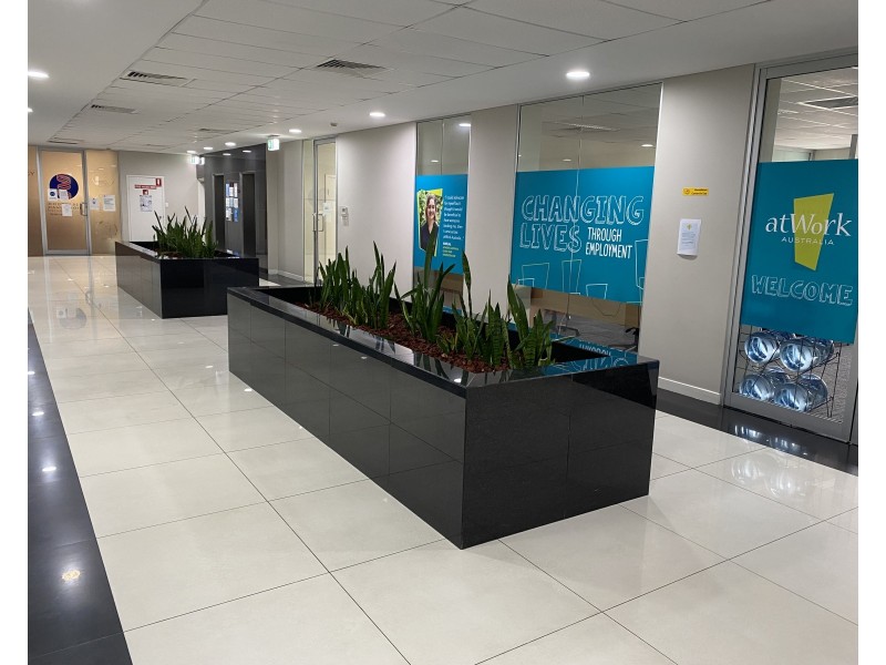 303/39 Queen Street, Auburn NSW 2144