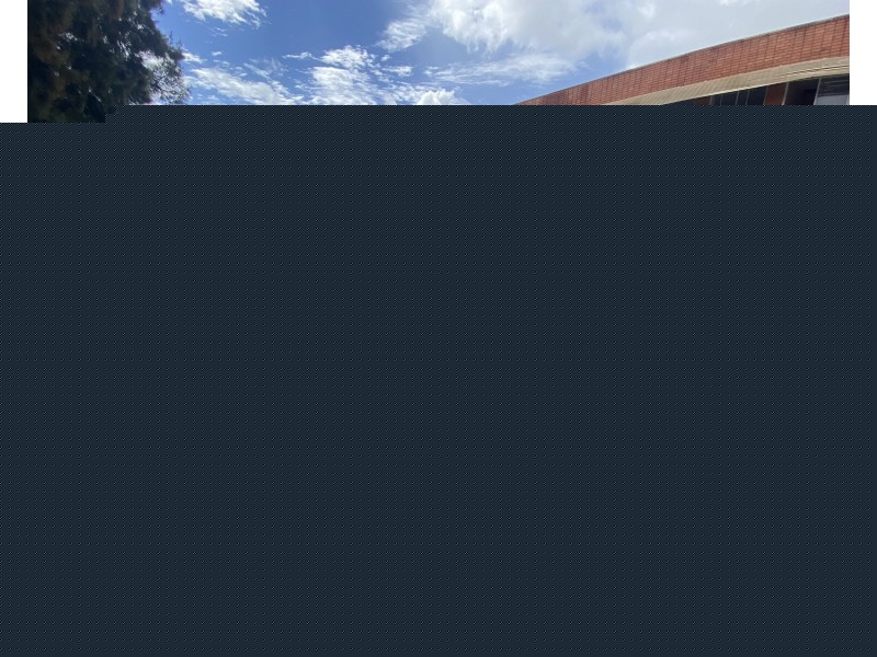 64 Helen Street, Sefton NSW 2162