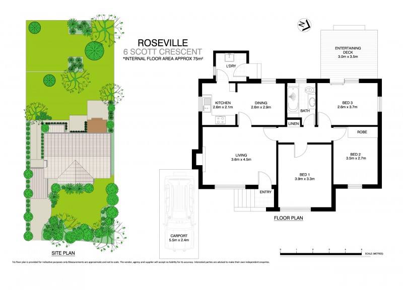 6 Scott Crescent, Roseville NSW 2069 Floorplan