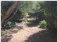 20 Chiltern Rd, Willoughby NSW 2068