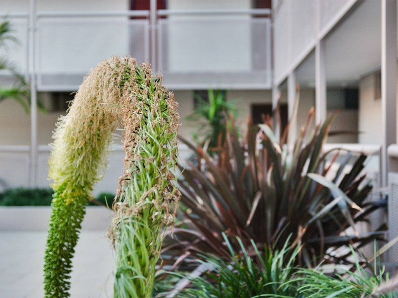 57/595 Willoughby Rd, Willoughby NSW 2068