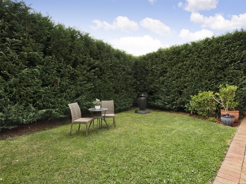 45 Laurel Street, Willoughby NSW 2068