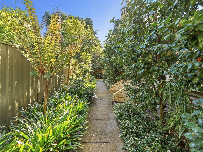 2/13-17 Clanwilliam Street, Willoughby NSW 2068