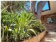 57a Centennial Ave, Lane Cove NSW 2066