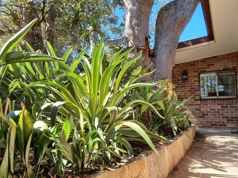 57a Centennial Ave, Lane Cove NSW 2066