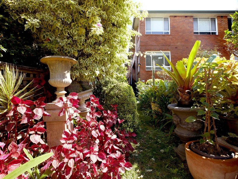 2/202 Penshurst Street, Willoughby NSW 2068
