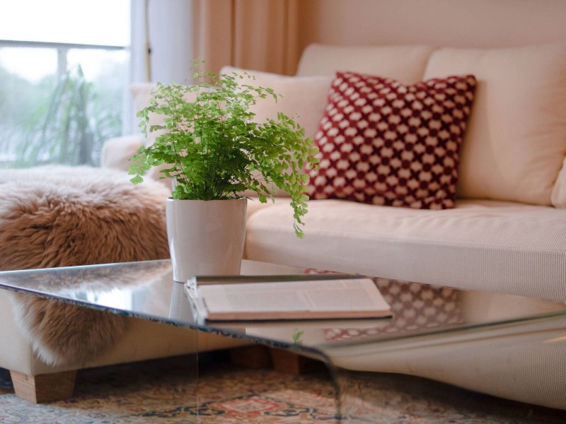 18/6-10 Church Street, Willoughby NSW 2068