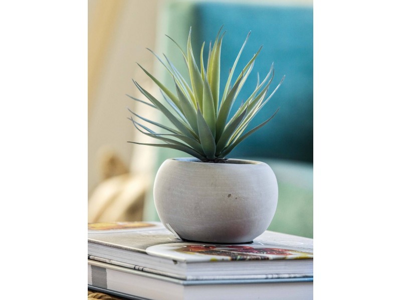 17 Bolwarra Ave, West Pymble NSW 2073