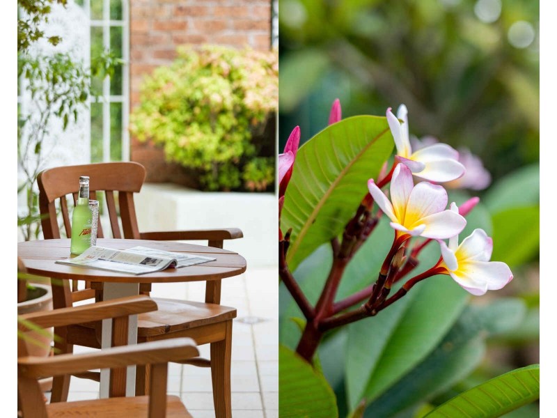 6 Coachline Place, Belrose NSW 2085