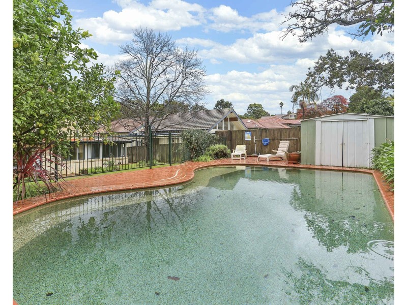 1 Nardoo Road, Willoughby NSW 2068