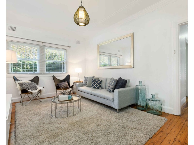 164A Mowbray Rd, Willoughby NSW 2068