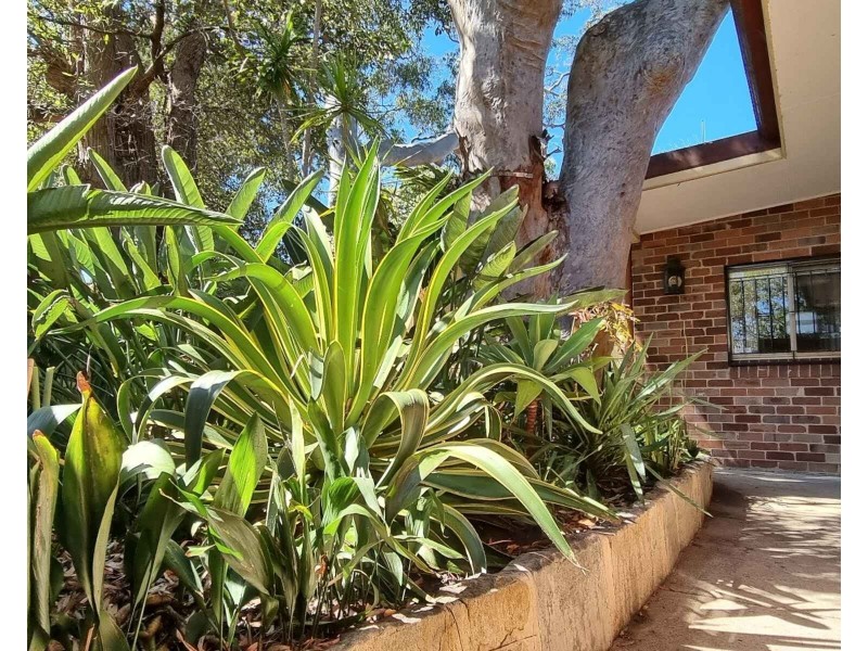 57a Centennial Ave, Lane Cove NSW 2066