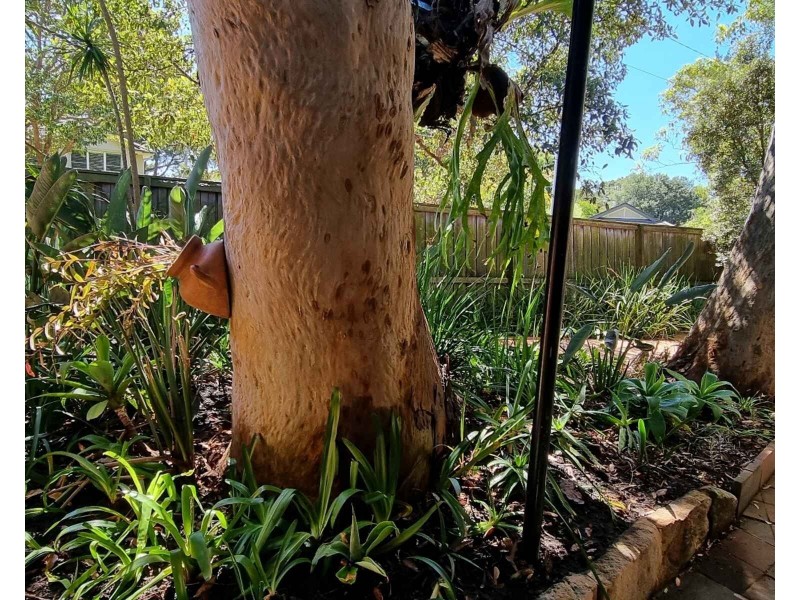 57a Centennial Ave, Lane Cove NSW 2066