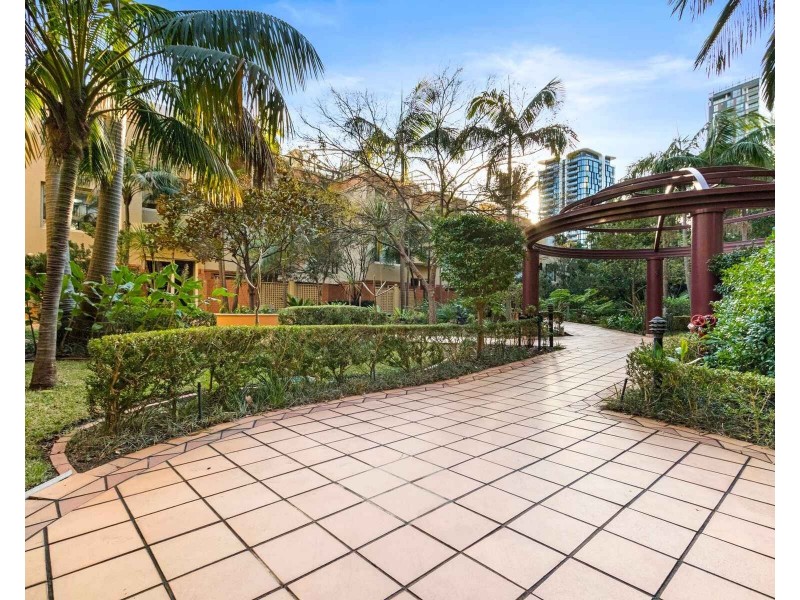 60/50 Oxley St, St Leonards NSW 2065