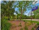 31 Brighton Street, Petersham NSW 2049