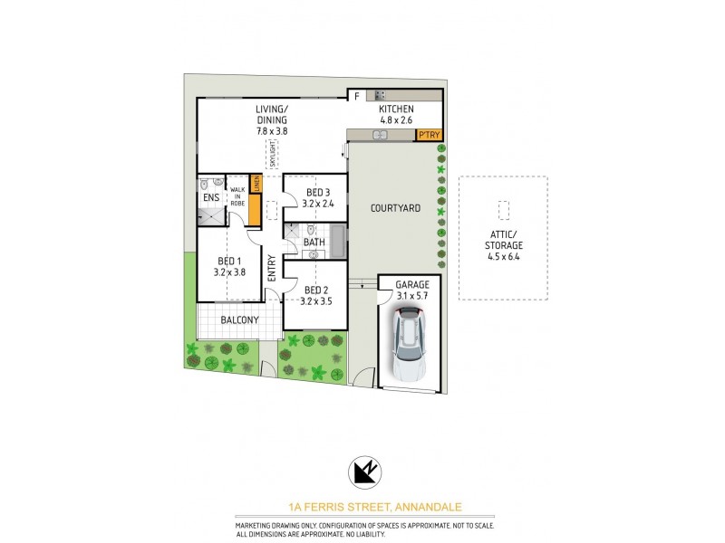 1A Ferris Street, Annandale NSW 2038 Floorplan