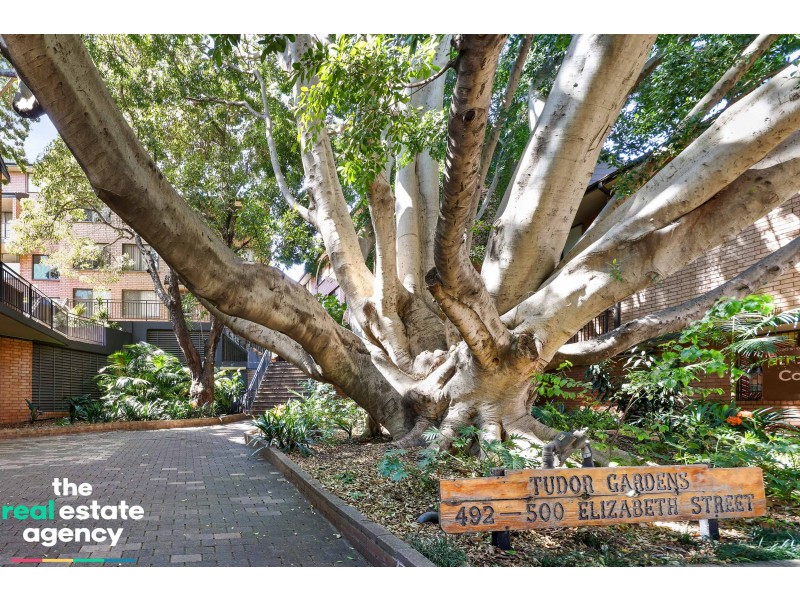 37/492 Elizabeth Street, Surry Hills NSW 2010