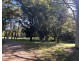 24 Hurlstone Avenue, Hurlstone Park NSW 2193
