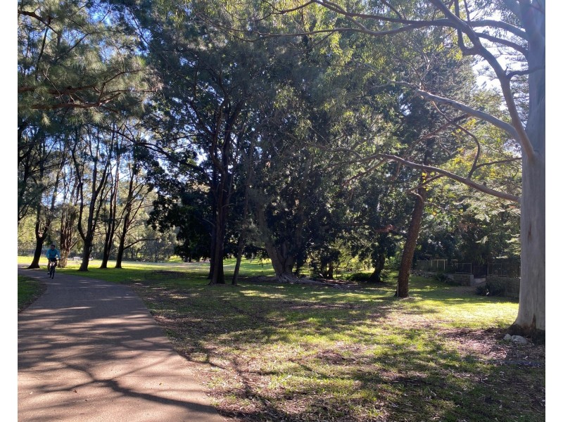 24 Hurlstone Avenue, Hurlstone Park NSW 2193