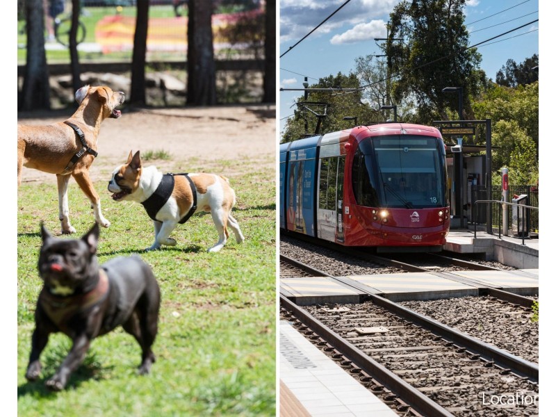 150 Flood Street, Leichhardt NSW 2040