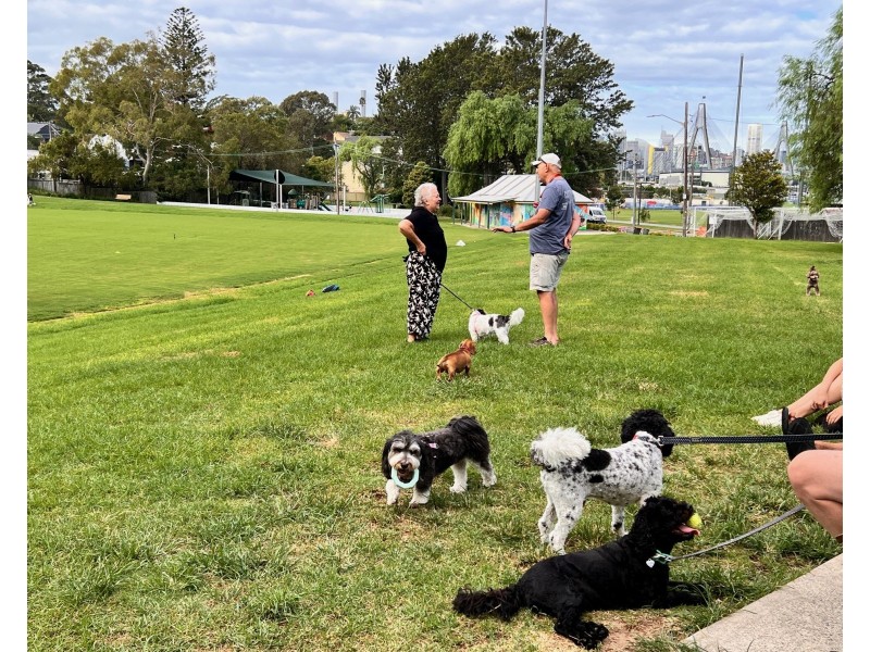 4 Easton Street, Rozelle NSW 2039