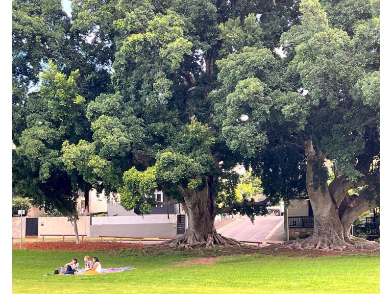 4 Easton Street, Rozelle NSW 2039