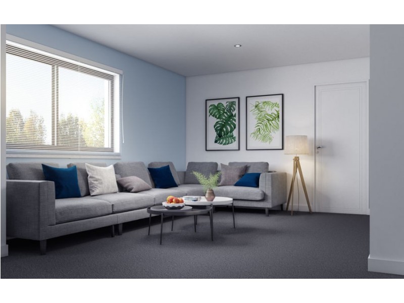 10 Nectarine Street, Runcorn QLD 4113