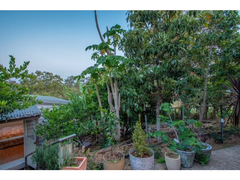 19 Curlew Crescent, Eagleby QLD 4207