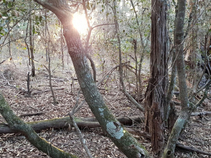 27 Eagleview Road, Minto NSW 2566