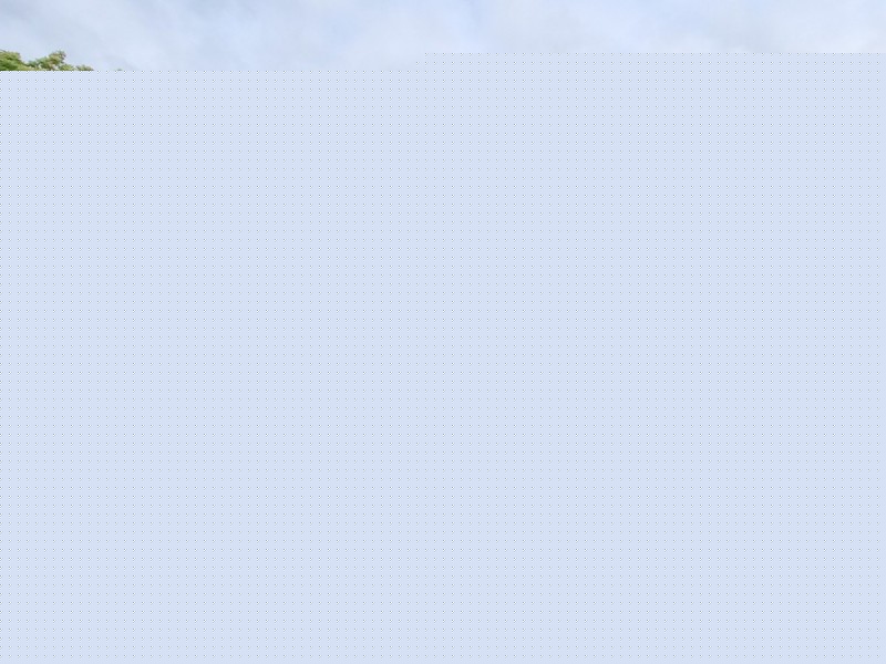 4 Palm Close, Green Valley NSW 2168