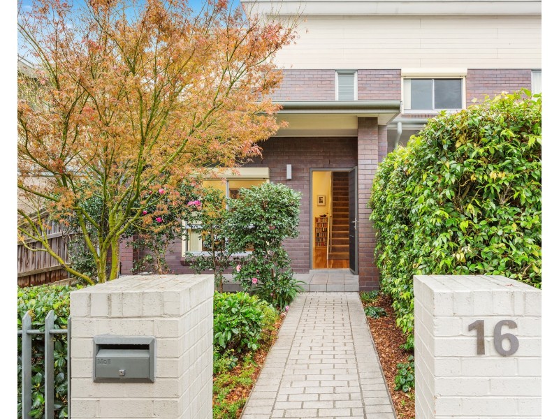 16 Dunkeld Avenue, Hurlstone Park NSW 2193