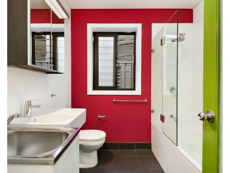 193 Sydenham Road, Marrickville NSW 2204