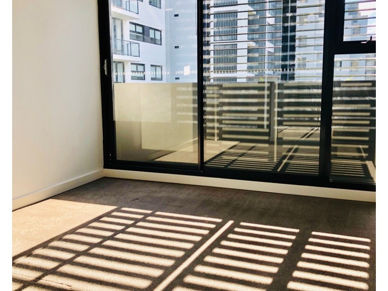 210/824-828 Elizabeth Street, Waterloo NSW 2017