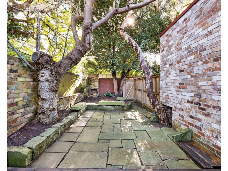 20 Gibbes Street, Newtown NSW 2042