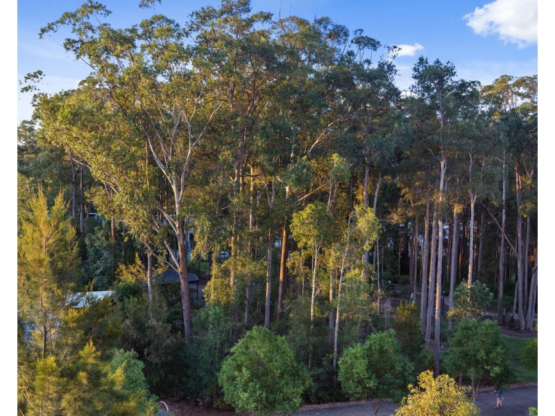 302/5 Spring Street, Sippy Downs QLD 4556