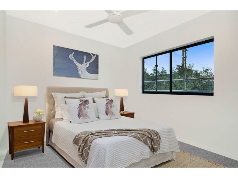 52 Ludwick Street, Cannon Hill QLD 4170