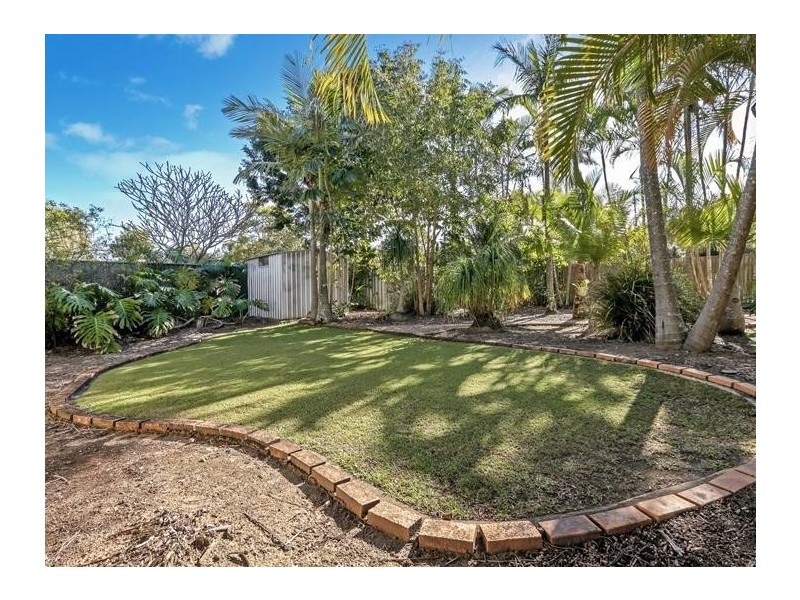 14 Hibbertia Court, Springwood QLD 4127