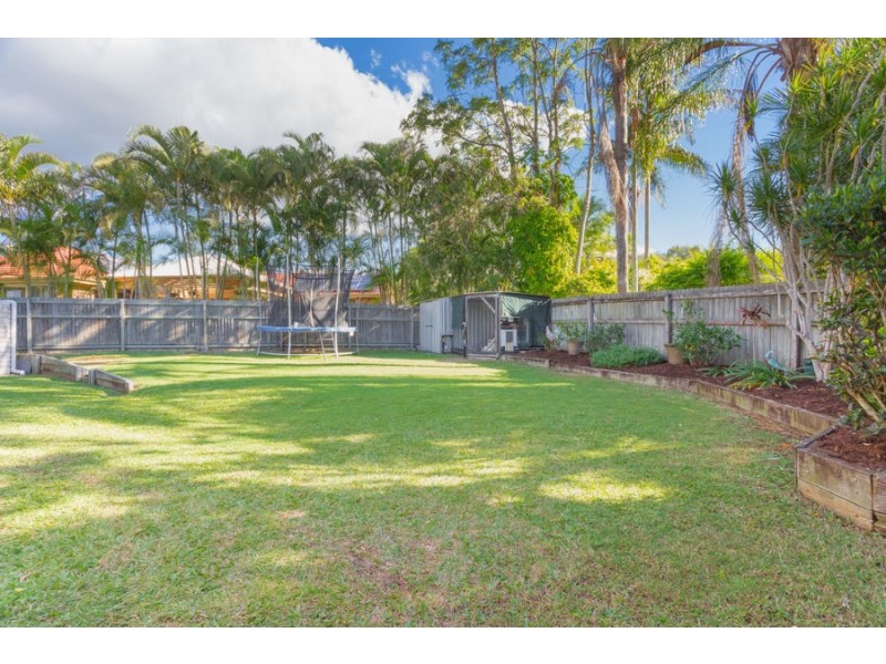 3 Alpinia Street, Cornubia QLD 4130