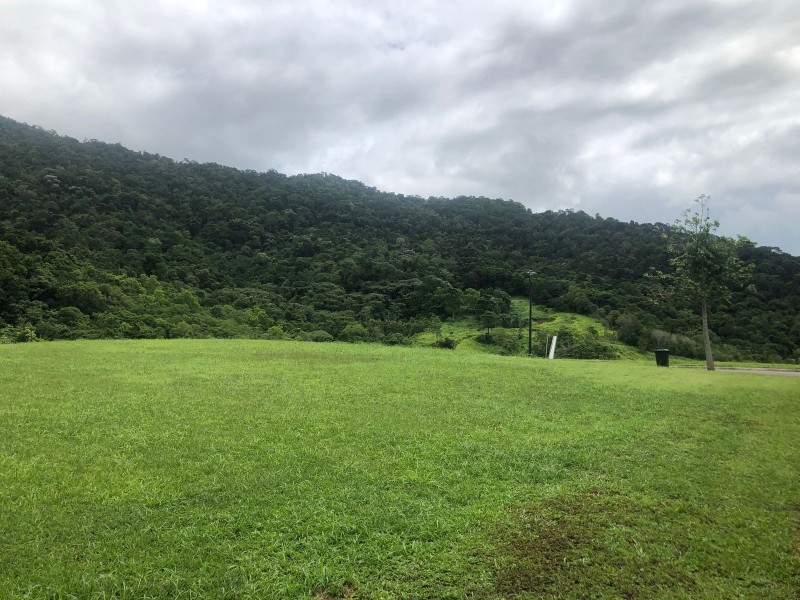 4 Akame Avenue, Caravonica QLD 4878