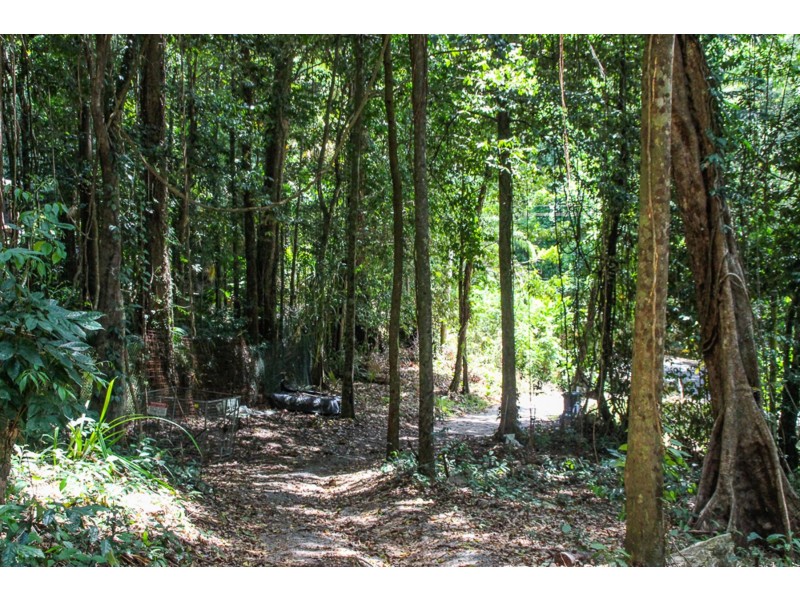 LOT 48 Redlynch Intake Road, Redlynch QLD 4870
