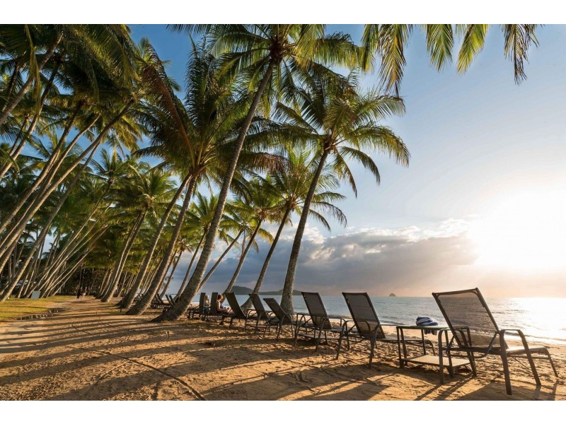 14 Kurt Close, Palm Cove QLD 4879