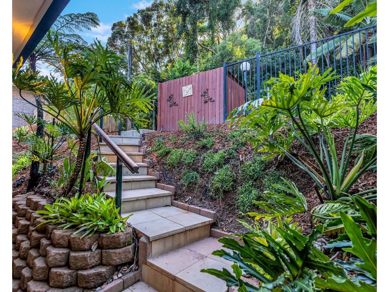6 Latreille Terrace, Brinsmead QLD 4870