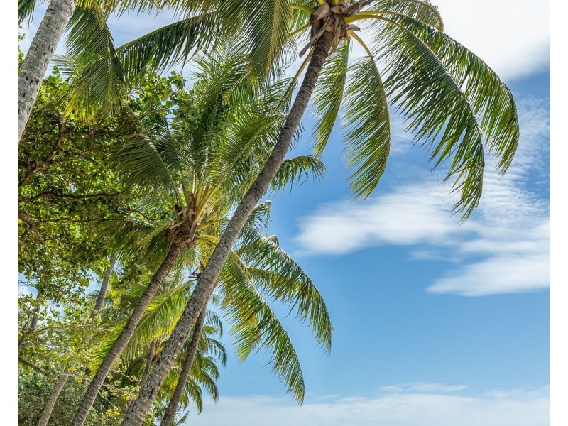 39 Flagship Drive, Trinity Beach QLD 4879