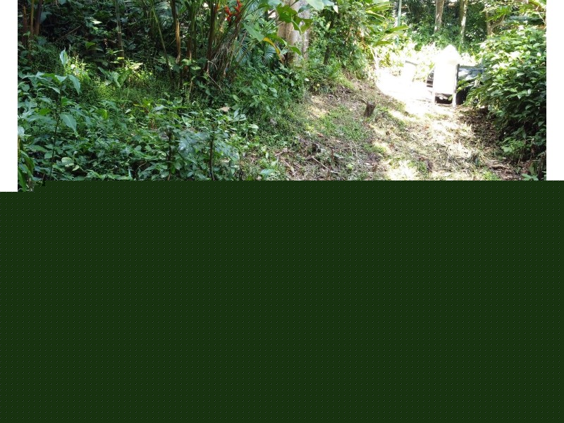 14 Jagera Close, Kamerunga QLD 4870