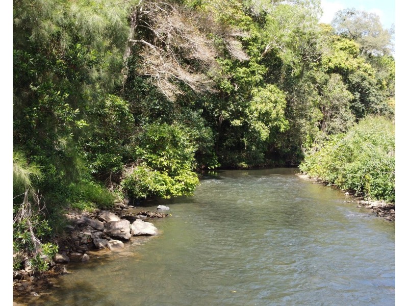 14 Jagera Close, Kamerunga QLD 4870