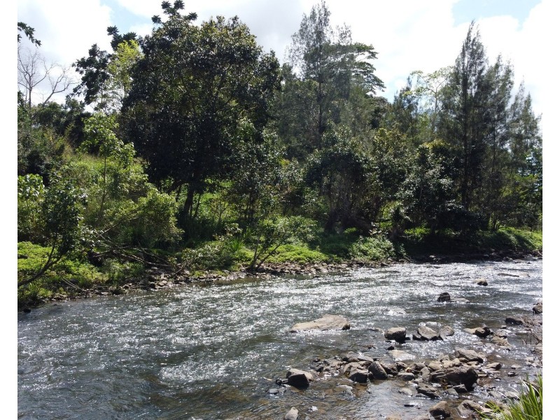 14 Jagera Close, Kamerunga QLD 4870