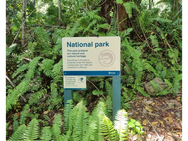 14 Jagera Close, Kamerunga QLD 4870