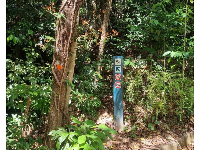 14 Jagera Close, Kamerunga QLD 4870