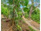 7 Beaman Close, Aeroglen QLD 4870
